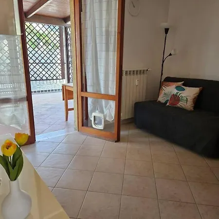 公寓 La Casa Di Massimo 圣雷默